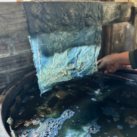 Traditional natural indigo dye vat in Vietnam with fabric oxidizing from green to blue.